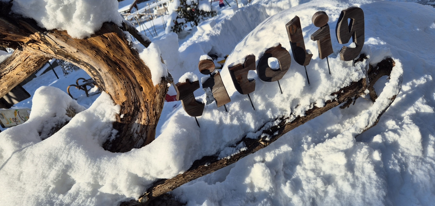 Tirol Schild aus Holz